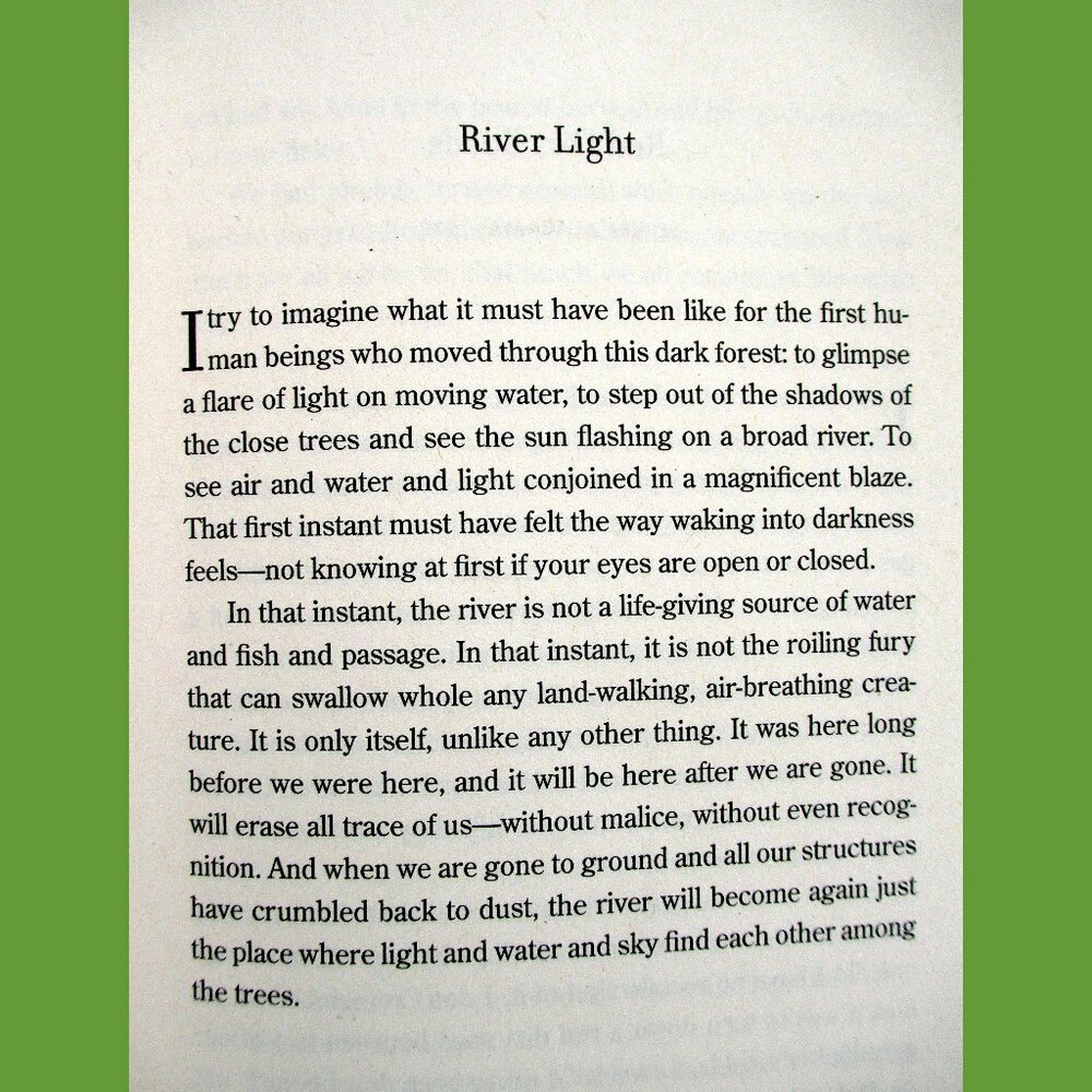 Book - Late Migrations: A Natural History of Love & Loss, by Margaret Renkl - Picture 7 of 13